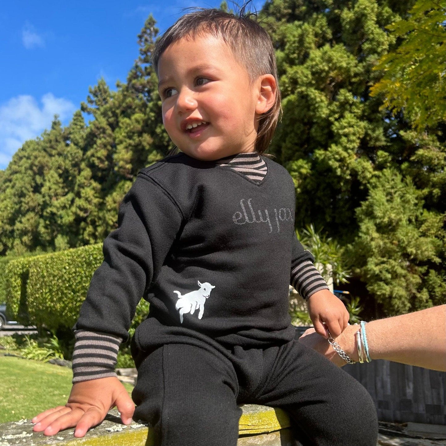 Merino V Neck Sweatshirt - ellyjax - NZ Merino Babywear
